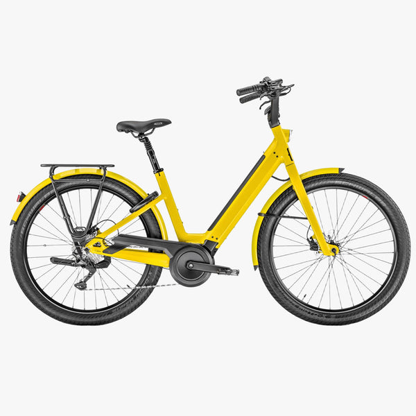 Lundi 27.2 Curry 500WH 2025