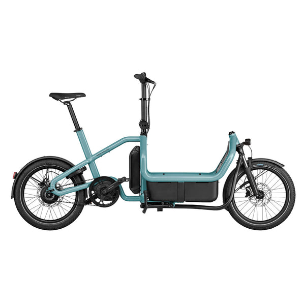 Bicicleta eléctrica Riese & Müller Carrie Vario