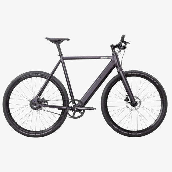 Coboc Brooklyn FAT Disco Purple