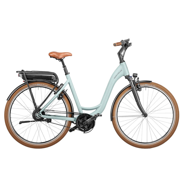 Bicicleta eléctrica Riese Müller Swing Vario Verde 28