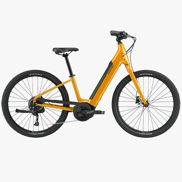Cannondale 650 U Adventure Neo 4 MGO