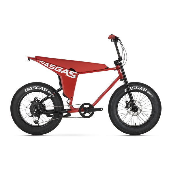 Bicicleta eléctrica de montaña Gasgas Moto 1