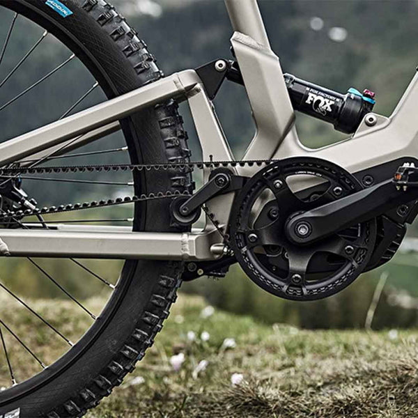 Bicicleta eléctrica Riese Müller Delite Mountain Touring