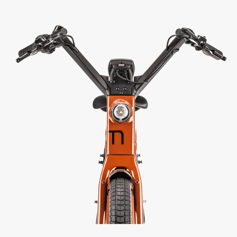 Lundi 27.2 Curry 500WH 2025