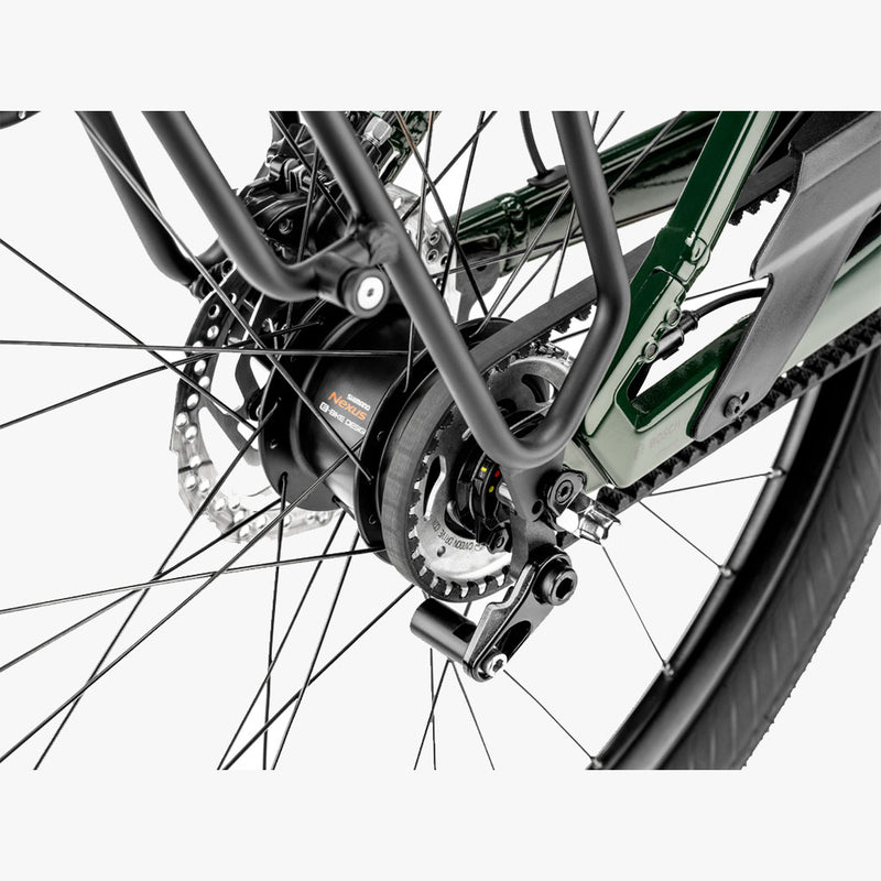 Mardi 27.4 Open 500WH 2025 Fir Green Glossy