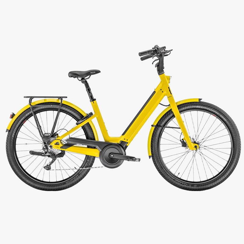 Lundi 27.2 Curry 500WH 2025