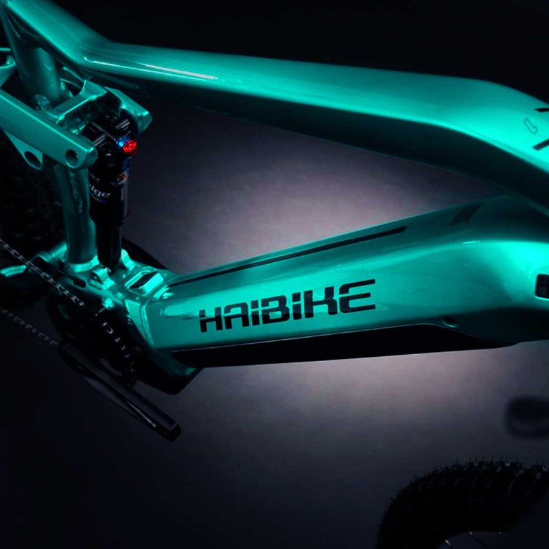 Bicicleta eléctrica Haibike AllMtn 1