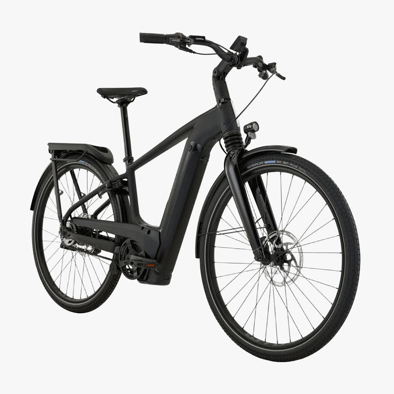 Cannondale Mavaro Neo 2 BBQ