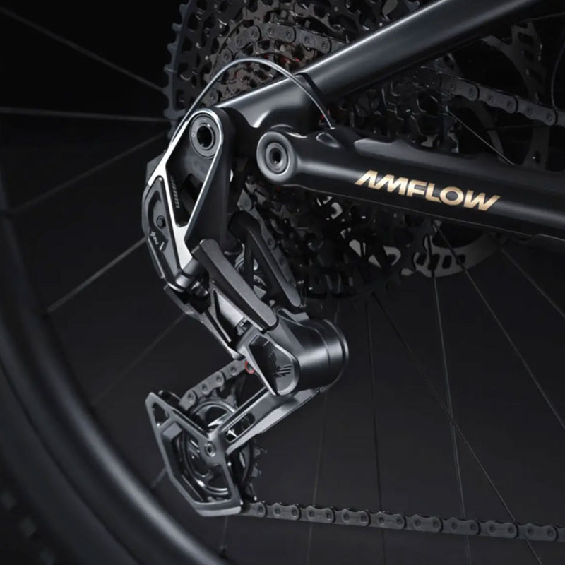 Bicicleta eléctrica Amflow PL Carbon 800 Wh