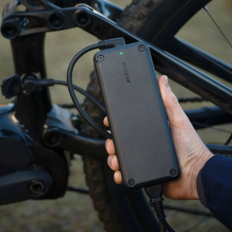 Bicicleta eléctrica Amflow PL Carbon 800 Wh