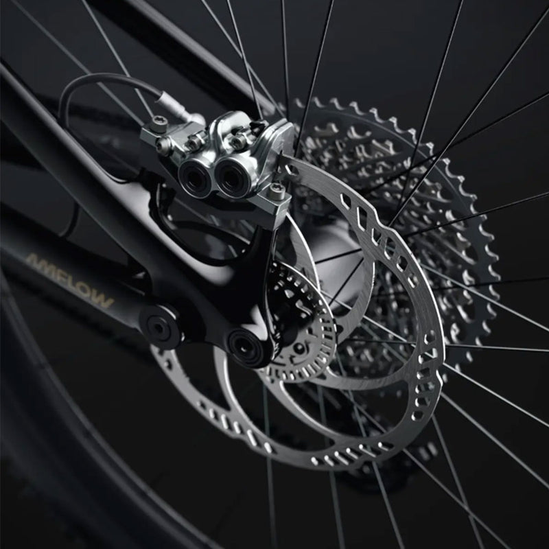 Bicicleta eléctrica Amflow PL Carbon 800 Wh