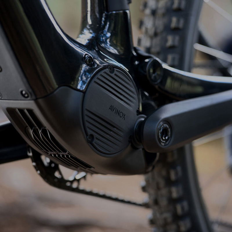 Bicicleta eléctrica Amflow PL Carbon Pro 800 Wh