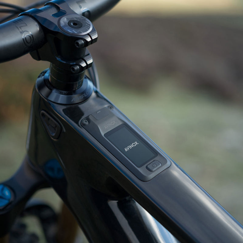 Bicicleta eléctrica Amflow PL Carbon Pro 800 Wh