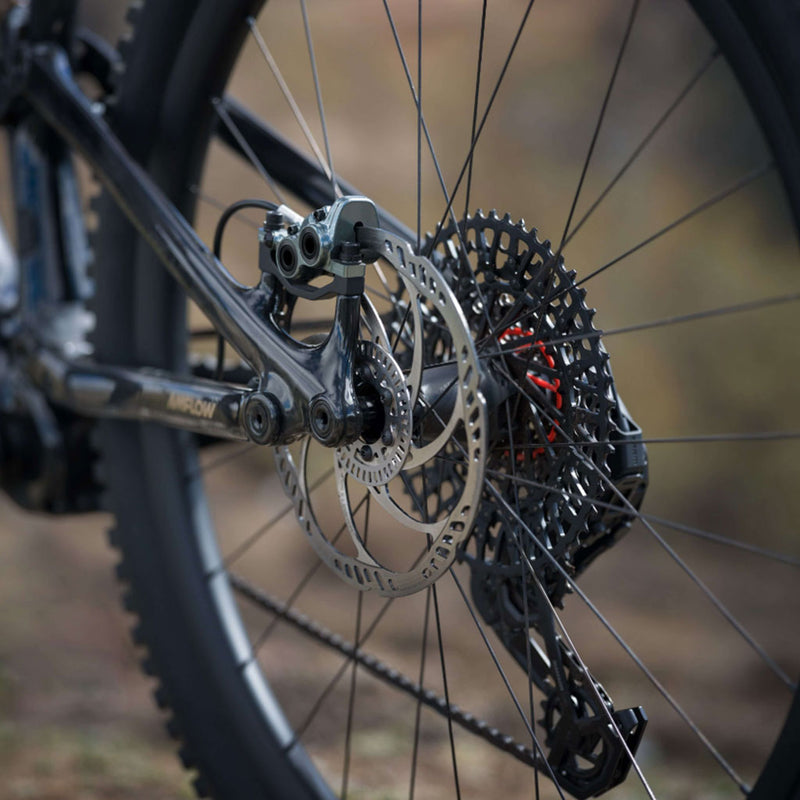 Bicicleta eléctrica Amflow PL Carbon Pro 800 Wh