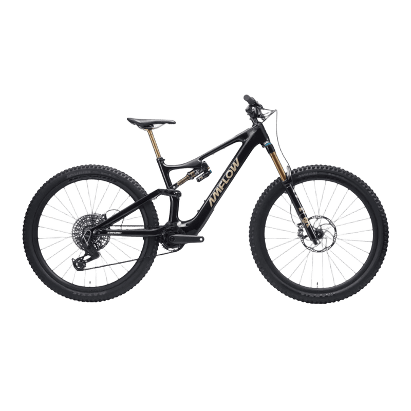 Bicicleta eléctrica Amflow PL Carbon Pro 800 Wh