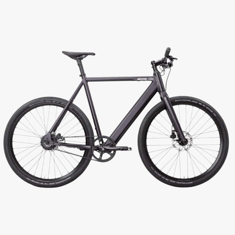 Coboc Brooklyn FAT Disco Purple