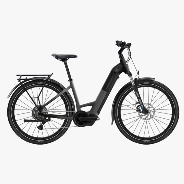 Bicicleta eléctrica Trekking 3 Low dark silver 2026