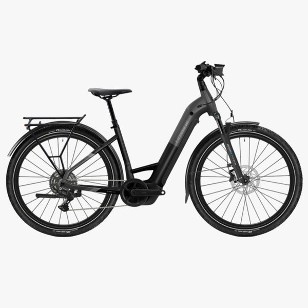 Bicicleta eléctrica TREKKING 6.5 Low stardust/titan 2026