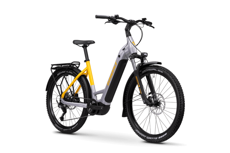 Bicicleta eléctrica Ghost E-TERU UNIVERSAL LOW EQ Gris