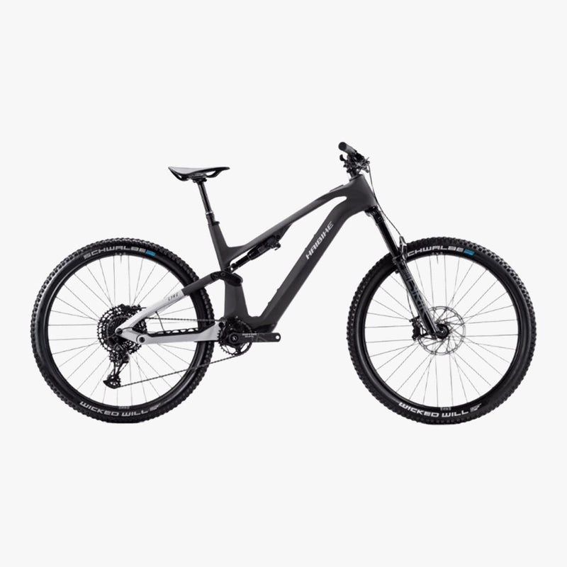 Haibike lyke cf 10 carbon silver-matt