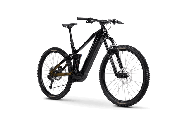 Bicicleta eléctrica Haibike ALLTRAIL 10 / C1