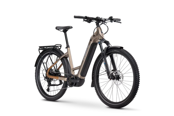 Bicicleta eléctrica Haibike TREKKING 6.5 Low