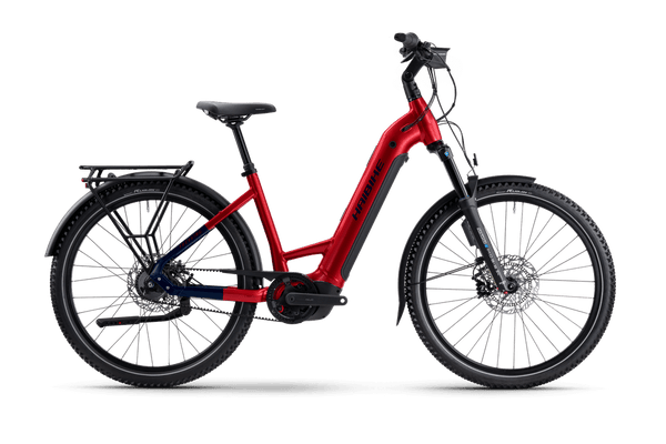 Bicicleta eléctrica Haibike TREKKING 9 ABS Low