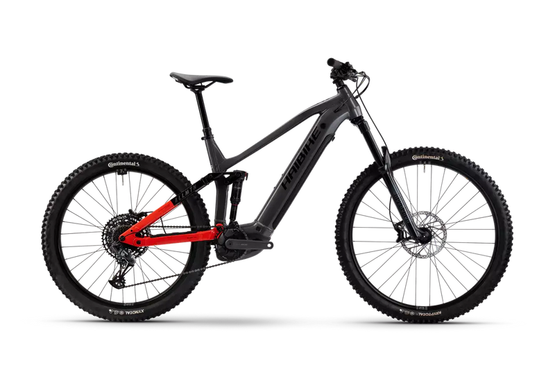 Bicicleta eléctrica Haibike ALLMTN 4 Gris