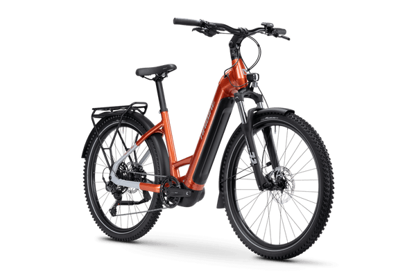 Bicicleta eléctrica Haibike TREKKING 4 Low / C2