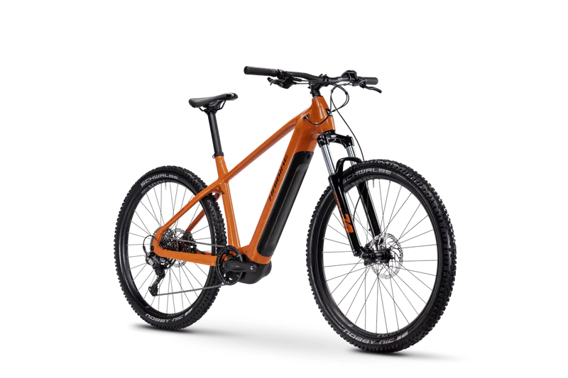 Bicicleta eléctrica Haibike ALLTRACK 6 / C1