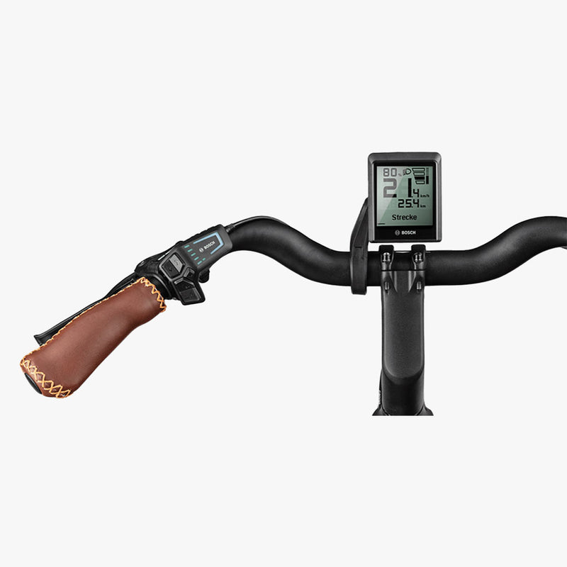Riese muller swing4 vario t43 salvia mat 500 Wh