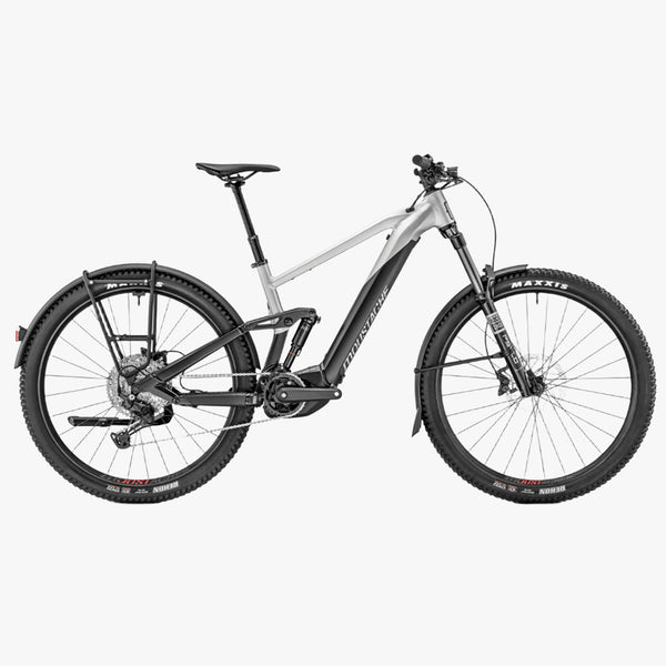 Trail 150.2 EQ- 750WH 2025 Black/ Metalic Silver Matt