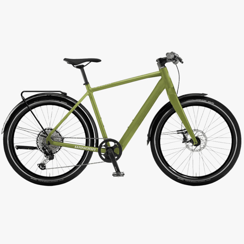 Winora E-Flitzer shamrock gloss Mahle SmartBike Systems I