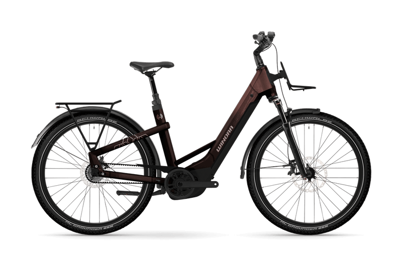 Bicicleta eléctrica Winora Yakun R5 Low