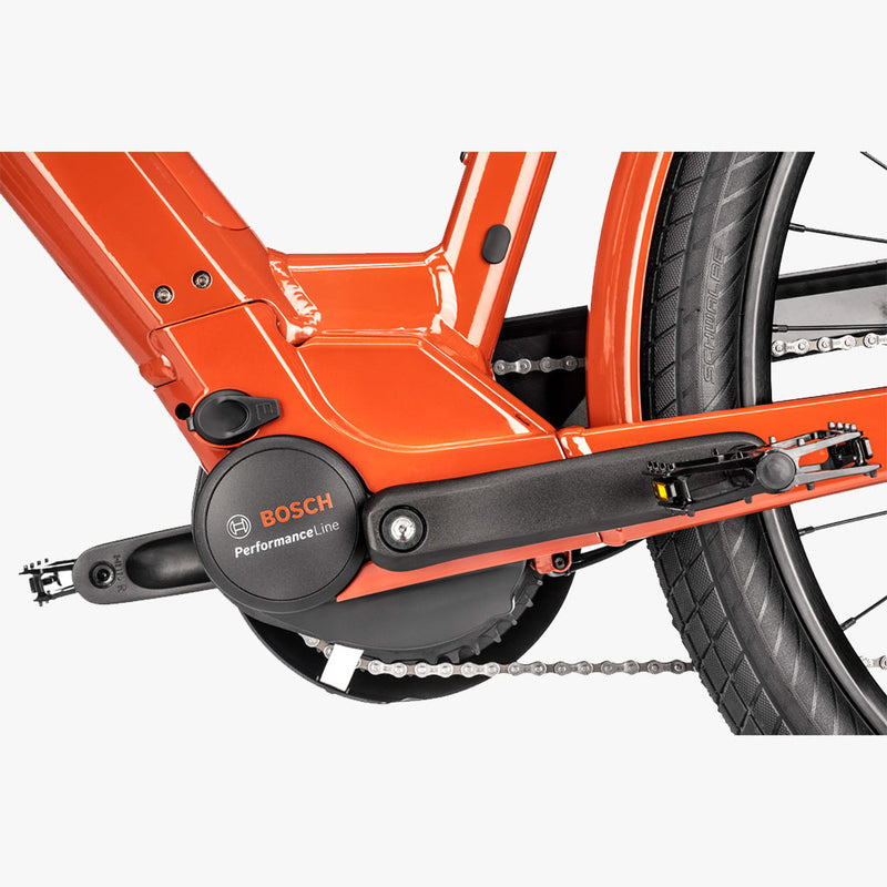 Lundi 27.2 Curry 500WH 2025