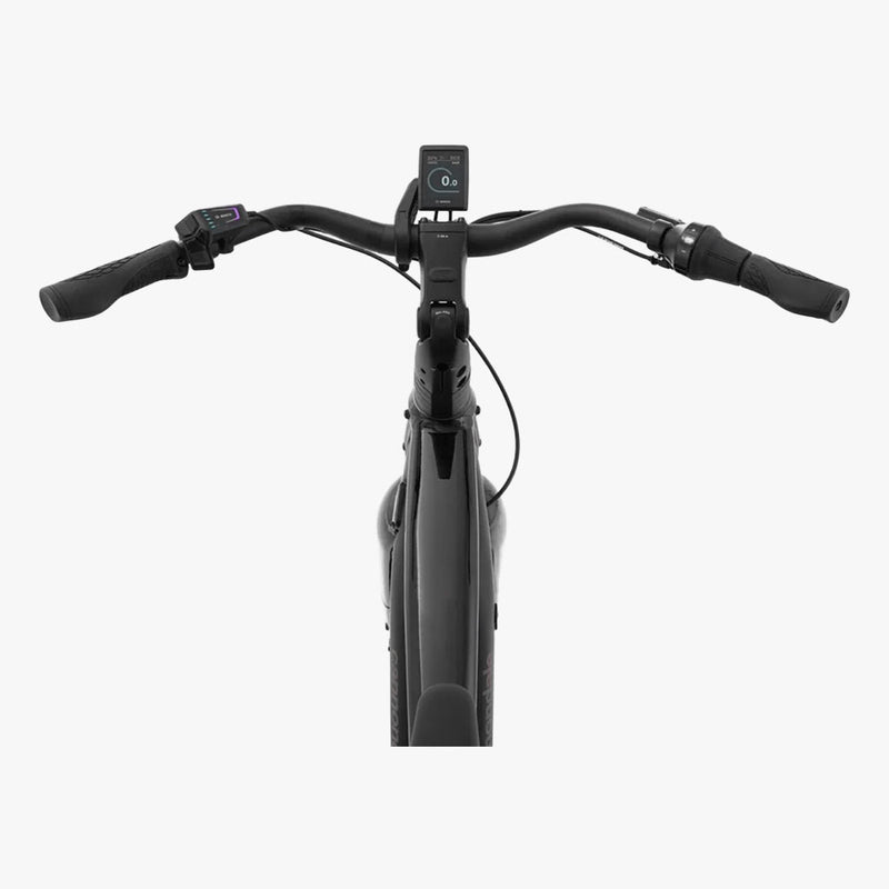 Cannondale Mavaro Neo 2 BBQ